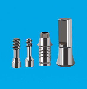 替代体 固位螺丝